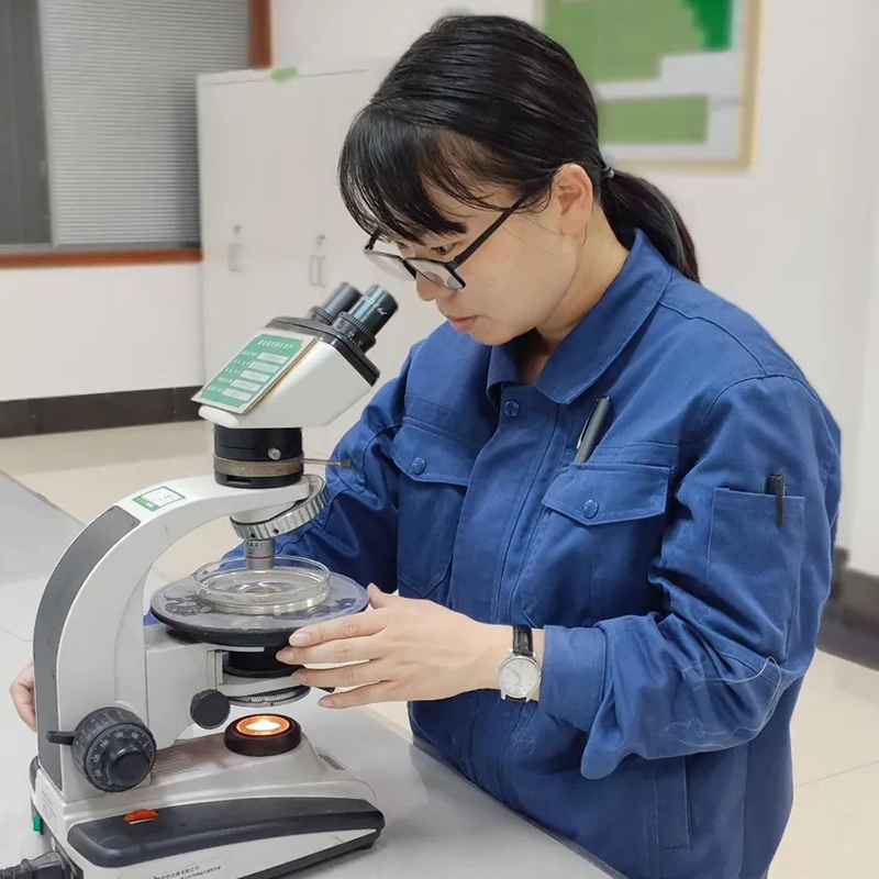 lifenxiang03.jpg lifenxiang03.jpg